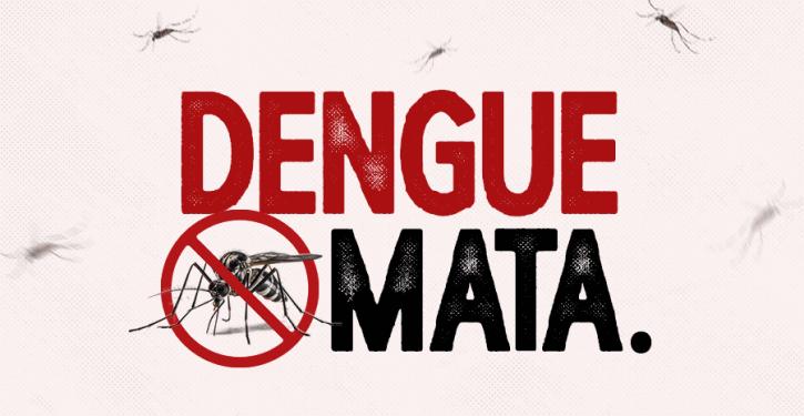 Dengue em SC: estado ultrapassa 13 mil casos prováveis da doença e chega a oito óbitos